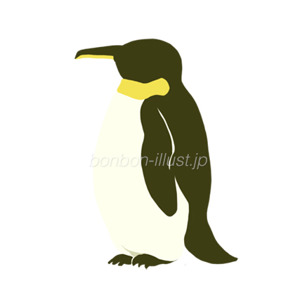 ペンギン かわいい 手書き 横向き 無料イラスト素材 ボンボンイラスト