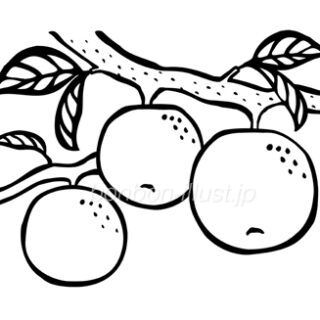 いちご 果物 かわいい 手書き 無料イラスト素材 ボンボンイラスト