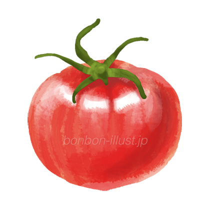 トマト 野菜 リアル 水彩画 無料イラスト素材 ボンボンイラスト